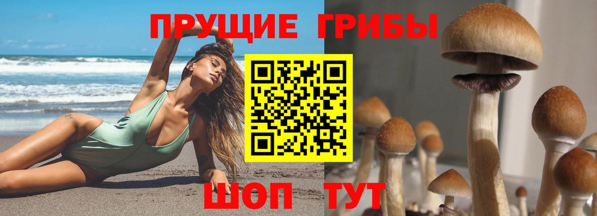 Богородицк  Галлюциногенные грибы Cubensis  Вход с VPN  Галлюциногенные грибы мицелий 