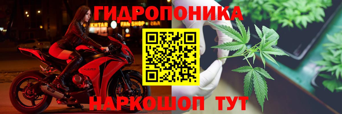 Канабис сатива Богородицк