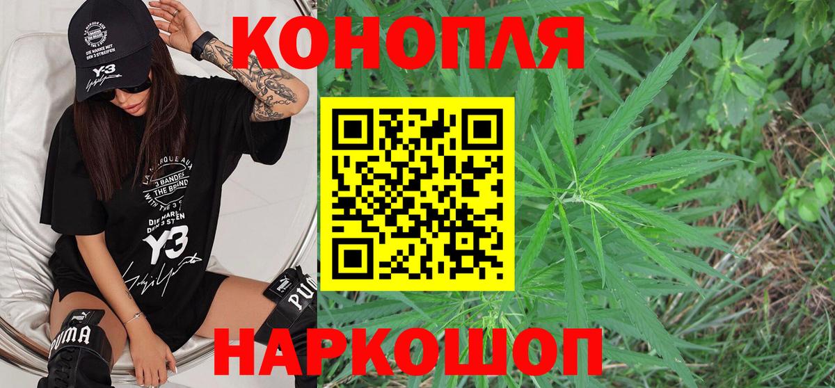 Бошки Шишки White Widow  Вход с VPN  Канабис сатива  Богородицк 